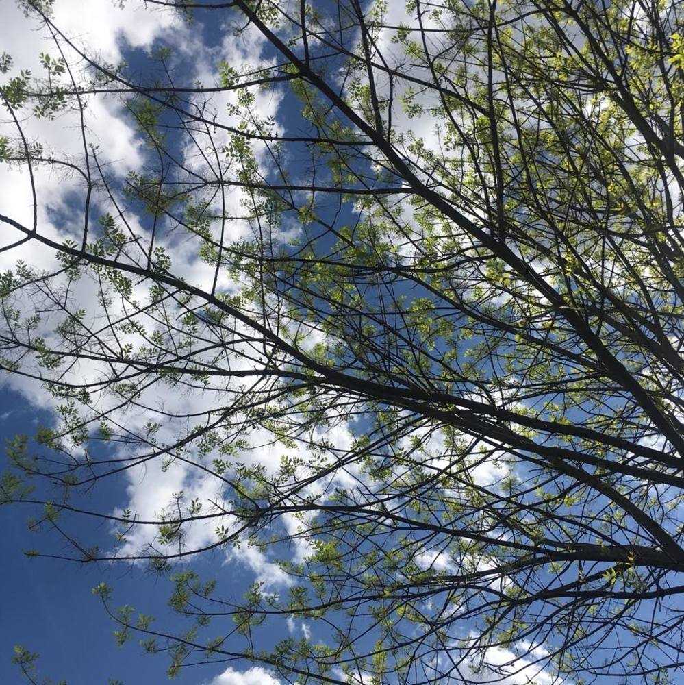 Meet your Posher, Angel